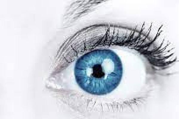 Ophthalmology (Eye Care)