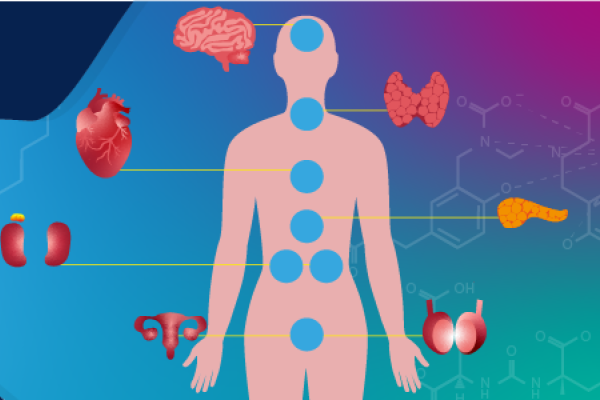 Endocrinology (Hormone Disorders)